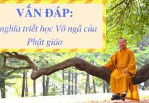 Vấn đáp: Ý nghĩa triết học vô ngã của Phật giáo – Thích Nhật Từ van dap y nghia triet hoc vo nga