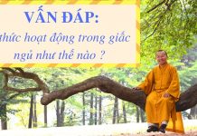 Vấn đáp: Ý thức trong giấc ngủ – Thích Nhật Từ van dap y thuc trong giac ngu th