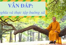 Vấn đáp:Ý nghĩa và thực tập buông xã -Thích Nhật Từ van dapy nghia va thuc tap buong