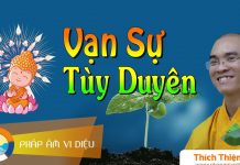 Vạn Sự Tùy Duyên – Thích Thiện Tuệ van su tuy duyen thich thien tue