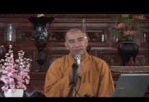 Vâng Lời – Thích Tâm Đức vang loi thich tam duc