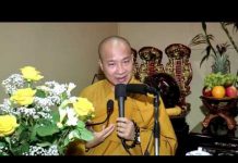 Vào Cửa Thiền – Thích Trí Huệ vao cua thien thich tri hue
