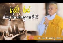 Vất bỏ những thứ không cần thiết – Thích Nữ Hương Nhũ vat bo nhung thu khong can thiet