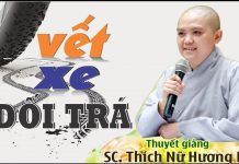 Vết Xe Dối Trá – Thích Nữ Hương Nhũ vet xe doi tra thich nu huong nh