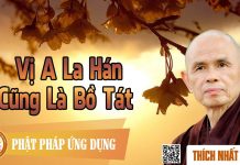 Vị A La Hán Cũng Là Bồ Tát – Thích Nhất Hạnh vi a la han cung la bo tat thich