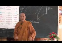Vi Diệu Pháp – 14 Bài Thiện Thập Yếu Phần 5 – Thích Nữ Tâm Tâm vi dieu phap 14 bai thien thap y 3
