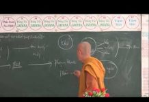 Vi Diệu Pháp – 14 Bài Thiện Thập Yếu Phần 11 – Thích Nữ Tâm Tâm vi dieu phap 14 bai thien thap y 4