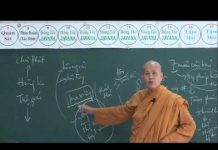 Vi Diệu Pháp – 14 Bài Thiện Thập Yếu Phần 1 – Thích Nữ Tâm Tâm vi dieu phap 14 bai thien thap y 7