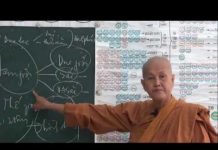 Vi Diệu Pháp – 14 Bài Thiện Thập Yếu Phần 2 – Thích Nữ Tâm Tâm vi dieu phap 14 bai thien thap y 8