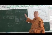 Vi Diệu Pháp – Sở Hữu Ngã Mạn Phần 2 – Thích Nữ Tâm Tâm vi dieu phap so huu nga man phan 3