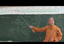 Vi Diệu Pháp – Sở Hữu Ngã Mạn Phần 10 – Thích Nữ Tâm Tâm vi dieu phap so huu nga man phan 5