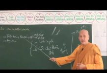 Vi Diệu Pháp – Sở Hữu Ngã Mạn Phần 6 – Thích Nữ Tâm Tâm vi dieu phap so huu nga man phan 7