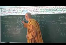 Vi Diệu Pháp – Sở Hữu Niệm Phần 1 – Thích Nữ Tâm Tâm vi dieu phap so huu niem phan 1