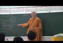 Vi Diệu Pháp – Sở Hữu Niệm Phần 2 – Thích Nữ Tâm Tâm vi dieu phap so huu niem phan 2