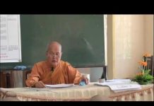 Vi Diệu Pháp – Sở Hữu Tà Kiến Phần 5 – Thích Nữ Tâm Tâm vi dieu phap so huu ta kien phan 1