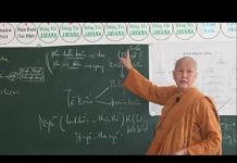 Vi Diệu Pháp – Sở Hữu Tà Kiến Phần 7 – Thích Nữ Tâm Tâm vi dieu phap so huu ta kien phan 2