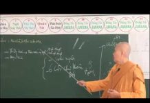 Vi Diệu Pháp – Sở Hữu Tà Kiến Phần 6 – Thích Nữ Tâm Tâm vi dieu phap so huu ta kien phan 4
