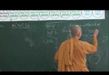 Vi Diệu Pháp – Sở Hữu Tà Kiến Phần 4 – Thích Nữ Tâm Tâm vi dieu phap so huu ta kien phan 6
