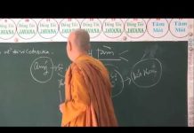 Vi Diệu Pháp – Sở Hữu Tà Tàm Quý – Thích Nữ Tâm Tâm vi dieu phap so huu ta tam quy t