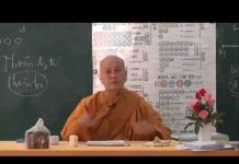 Vi Diệu Pháp – Sở Hữu Tham – Thích Nữ Tâm Tâm vi dieu phap so huu tham thich n