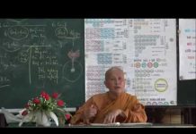 Vi Diệu Pháp – Sở Hữu Tịnh Hảo Phần 1 – Thích Nữ Tâm Tâm vi dieu phap so huu tinh hao pha
