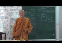 Vi Diệu Pháp – Sở Hữu Vô Tham Phần 1 – Thích Nữ Tâm Tâm vi dieu phap so huu vo tham phan