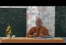 Vi Diệu Pháp – Sở Hữu Vô Tham – Thích Nữ Tâm Tâm vi dieu phap so huu vo tham thic