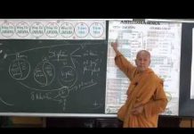 Vi Diệu Pháp – Tâm Tham Phần 5 – Thích Nữ Tâm Tâm vi dieu phap tam tham phan 5 thi