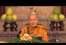 Vi Diệu Pháp – Tâm Tham Phần 7 – Thích Nữ Tâm Tâm vi dieu phap tam tham phan 7 thi