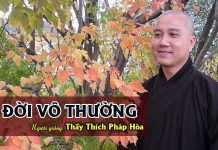 Vì Đời Vô Thường – Thích Pháp Hòa vi doi vo thuong thich phap hoa