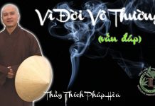 Vì Đời Vô Thường (Vấn Đáp) – Thích Pháp Hòa vi doi vo thuong van dap thich p