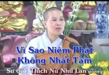 Vì Sao Niệm Phật Không Nhất Tâm – Thích Nữ Như Lan vi sao niem phat khong nhat tam