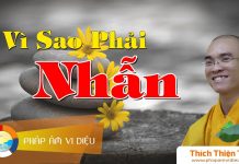 Vì Sao Phải Nhẫn – Thích Thiện Tuệ vi sao phai nhan thich thien tue