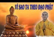 Vì Sao Ta Theo Đạo Phật – Thích Thiện Tuệ vi sao ta theo dao phat thich th