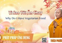 Vì Sao Tôi Ăn Chay English Sub (Why Do I Have Vegetarian Food) – Thích Phước Tiến vi sao toi an chay english sub w