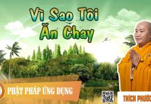 Vì Sao Tôi Ăn Chay – Thích Phước Tiến vi sao toi an chay thich phuoc t