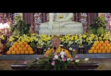 Vì Sao Tôi Chờ – Thích Thiện Thuận vi sao toi cho thich thien thuan