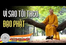 Vì sao tôi theo đạo Phật – TT Thích Nhật Từ vi sao toi theo dao phat tt thic