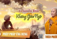 Vì Sao Tu Hoài Không Giác Ngộ – Thích Phước Tiến vi sao tu hoai khong giac ngo th