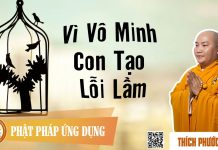 Vì Vô Minh Con Tạo Lỗi Lầm (KT02) – Thích Phước Tiến vi vo minh con tao loi lam kt02