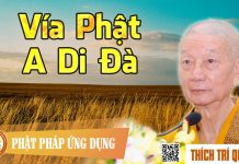 Vía Phật A Di Đà – Thích Trí Quảng via phat a di da thich tri quang