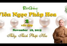 Viên Ngọc Pháp Hoa 2 (vấn đáp) – Thích Pháp Hòa vien ngoc phap hoa 2 van dap thi
