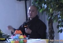 Vô Chiêu Thắng Hữu Chiêu ( Vấn Đáp )- Thích Pháp Hòa vo chieu thang huu chieu van dap 1