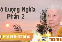 Vô Lượng Nghĩa phần 2 – Thích Trí Quảng vo luong nghia phan 2 thich tri