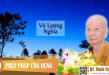 Vô Lượng Nghĩa – Thích Trí Quảng vo luong nghia thich tri quang