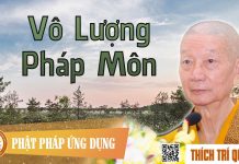 Vô Lượng Pháp Môn – Thích Trí Quảng vo luong phap mon thich tri quan