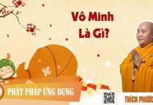 Vô Minh Là Gì – Thích Phước Tiến vo minh la gi thich phuoc tien