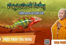 Vô Ngã Giữa Đời Thường (Selflessness In Daily Life) – Thích Phước Tiến vo nga giua doi thuong selflessn
