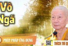 Vô Ngã – Thích Trí Quảng vo nga thich tri quang