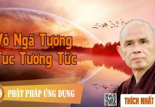 Vô Ngã Tương Tục Tương Tức – Thích Nhất Hạnh vo nga tuong tuc tuong tuc thich